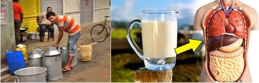 The silent saboteur: Unveiling the dark side of adulterated milk