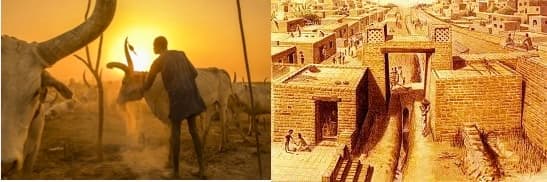 Dairy Farming in Africa Dates Back At Least 6,000 Years