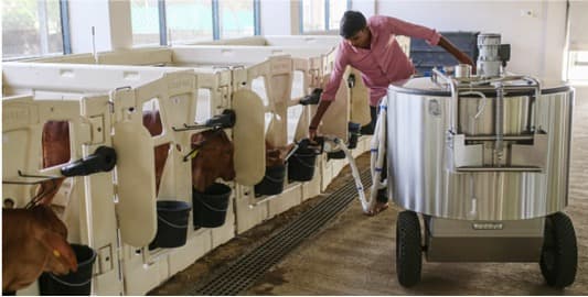 THE INDIAN INVENTION REVOLUTIONISING CATTLE FARMING