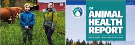 Dairy will be an important part of the global food solutions puzzle