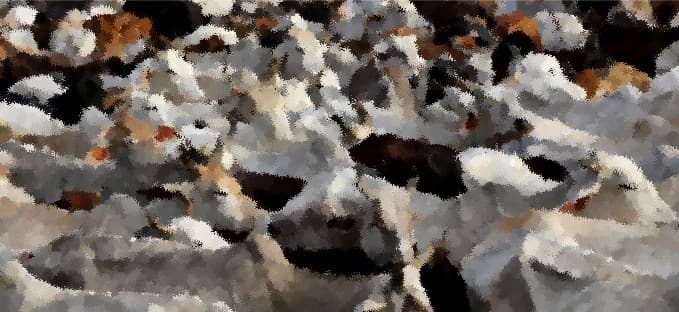 India seeks greener pastures for its milk