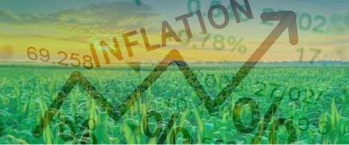 November saw moderation in inflation but not in all the states