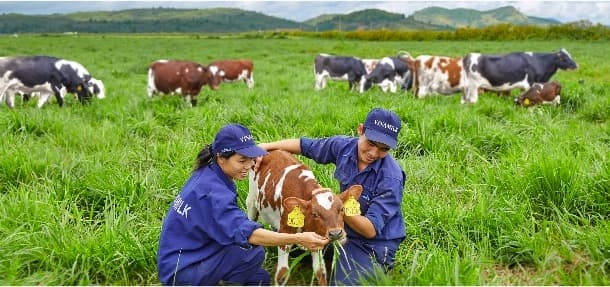 Investment Opportunities in Vietnam’s Dairy Sector