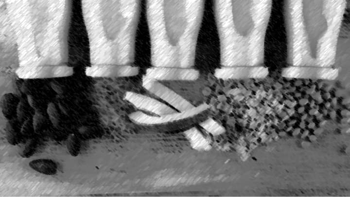 Investigating various plant-based beverage varieties