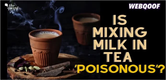 Does Adding Milk to Tea Make it ‘Poisonous’? What We Know