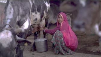 I am Laxmi a woman dairy farmer from India and I need money in my hand