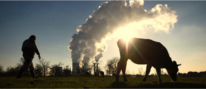 Experts present strategies to mitigate methane emissions in dairy cattle