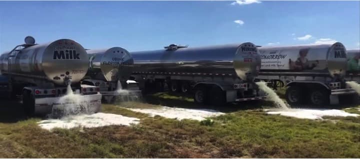 Analyzing the Dairy Industry’s Imbalance Issue in USA