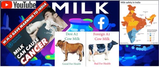 Obnoxious content about cow and milk is allowed on social media