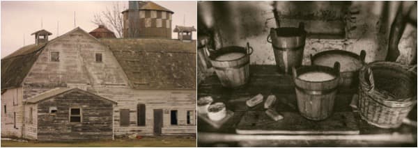 Ancient Europeans farmed dairy—but couldn’t digest milk