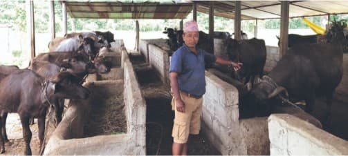 Dairy industry’s proposal to increase milk price by Rs 10 per liter