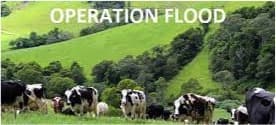 How ‘Operation Flood’ helped in the evolution of the dairy sector In India?