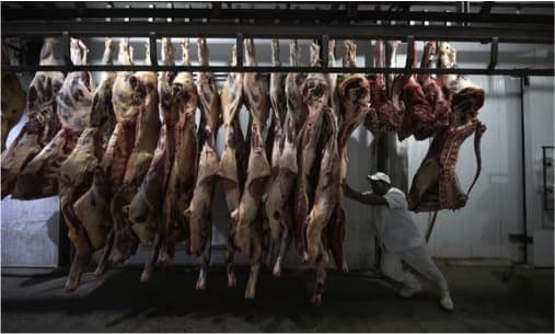 Plans to present meat as ‘sustainable nutrition’ at Cop28 revealed