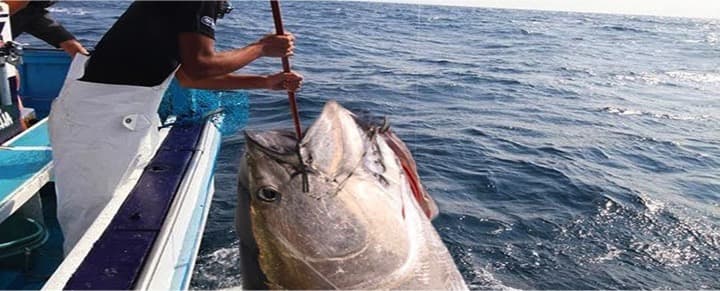 The problems scale up faster than the solutions