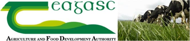 Actions to improve milk protein percentage in May and June