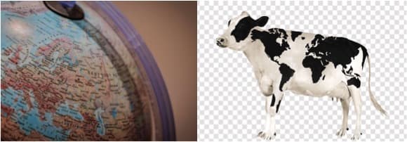 A Recap of Dairy Markets Around the World