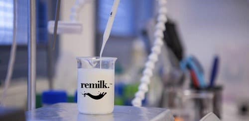 World’s largest precision fermentation facility to be set up by Remilk