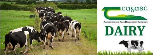 Reset the milking timetable to prioritise family time