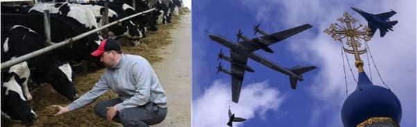 Most dairy firms in Ukraine continue operation despite the war