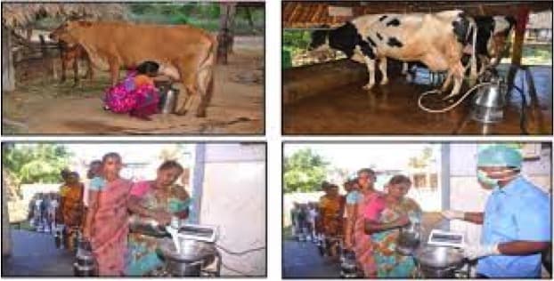 Will Aavin’s price be increased in Tamil Nadu ?