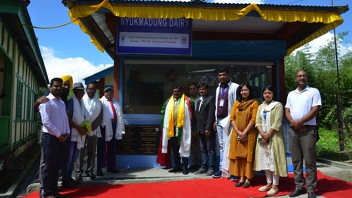 In Arunachal, a parlour for yak milk -Ship of the Himalayas’.