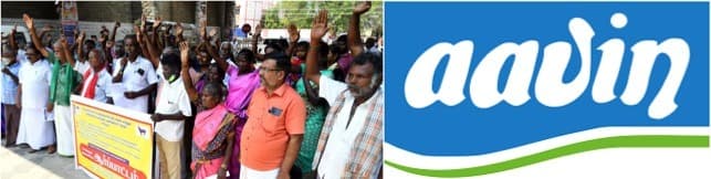 Dairy farmers demand increase in milk purchase prices