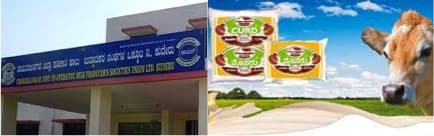 CHAMUL beats pandemic impact, exports milk to Nepal, Bhutan