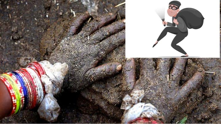 A gang of robbers stole nearly a ton of cow dung from a village