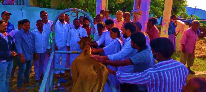 Karimnagar dairy aims at increasing milk production: Chairman