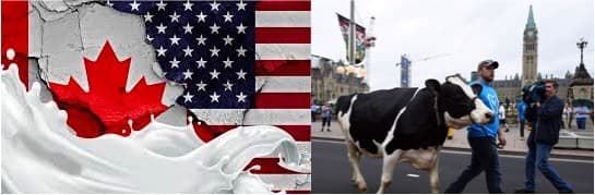 U.S. Prevails Over Canada in Dairy Dispute Under New Trade Deal