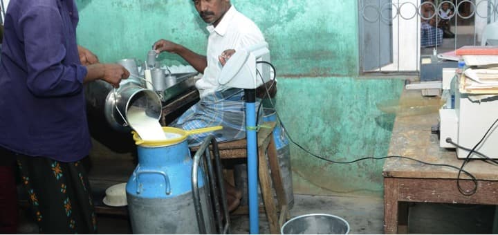 Tiruchi Aavin struggles to woo back milk suppliers