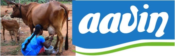 Aavin’s dairy farmers seek Rs 400 Cr grant to settle their dues