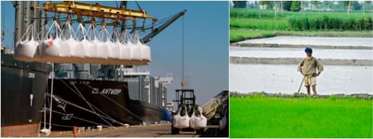 How green are India’s agri-exports? From sustainability perspective