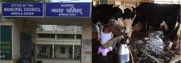 Proposal for 21-acre dairy complex approved at Ambala Haryana