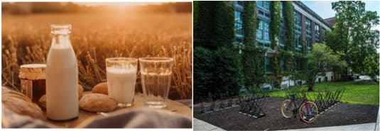 Amul to launch organic products, set up haats and ‘green college’