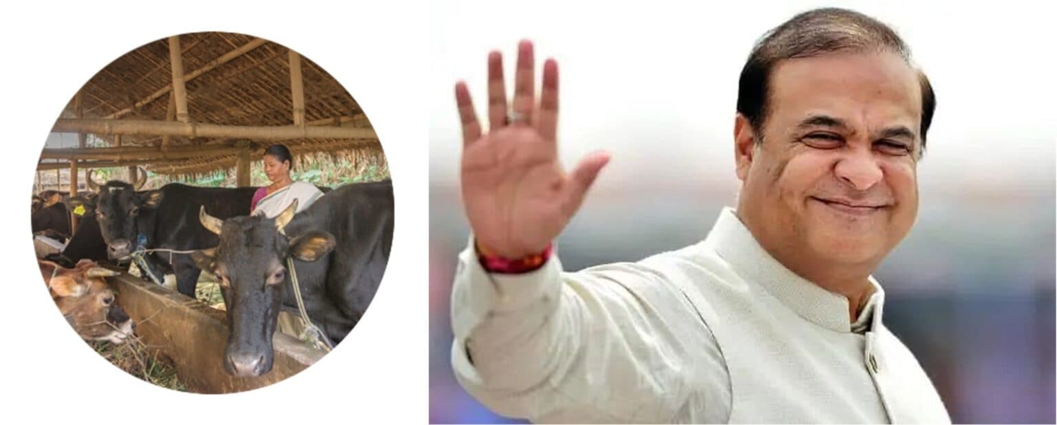 Assam Procures 1.16 Lakh Sexed Sorted Semen To Boost Dairy