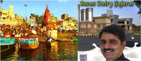 Banas dairy to set up a 5 Lakh LPD dairy plant for Rs 500 Crs in Varanasi