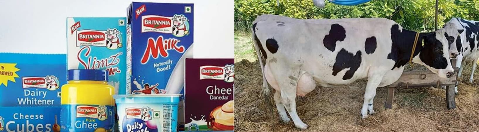 Britannia’s tech enabled Dairy Farmer Welfare Programs