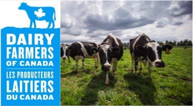 Government of Canada is compensating $469 Million to dairy farmers