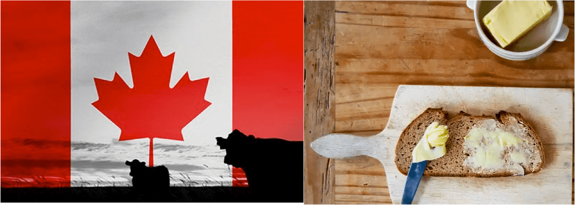 ‘My butter seems harder’: spread sparks furore over Canada’s dairy