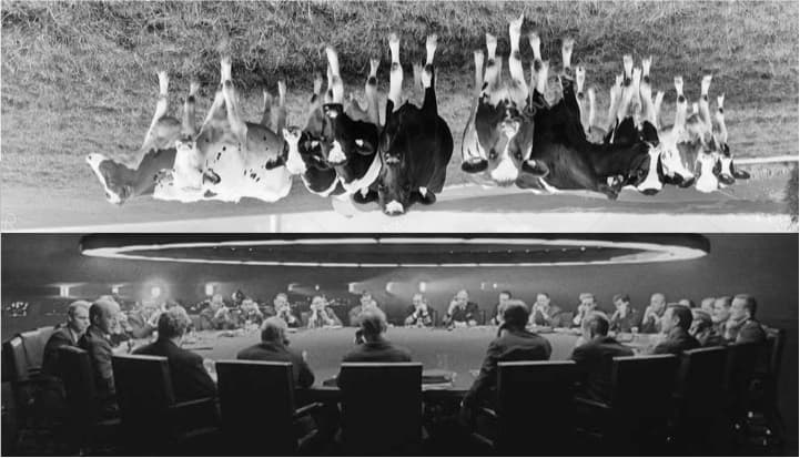 First of its kind cattle war room set up in Karnataka by B S Yediyurappa