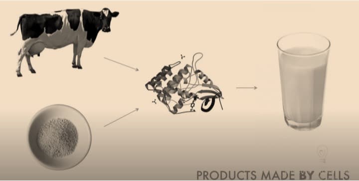 WORLD DAIRY NEWS A new wave of cow-less dairy is hitting the market.