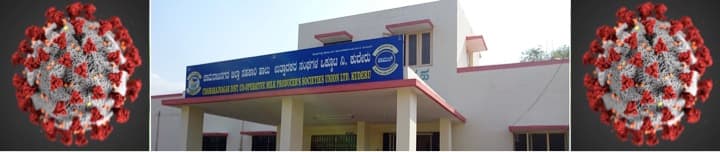 Milk coop societies stop buying milk from farmers afflicted by Covid