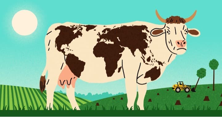 World Environment Day: Indian dairy industry and sustainability
