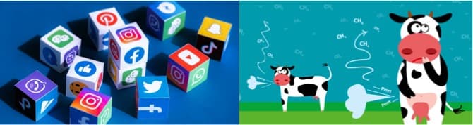 Blaming Dairy sector for climate change is unfair to millions of farmers