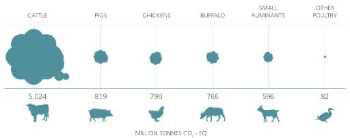 20 dairy firms emit more greenhouse gas than Germany, Britain or France