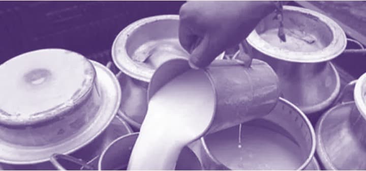 Greater Guwahati Dairy Farmers’ raises milk prices by Rs 5/ltr