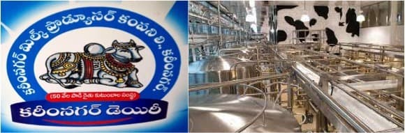 Karimnagar Dairy will soon give Amul a run for its money: Chairman
