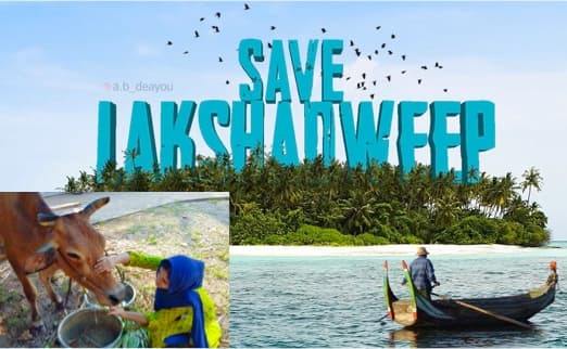 87 litres of milk per day costing Rs 90 lakhs to Lakshadweep Govt