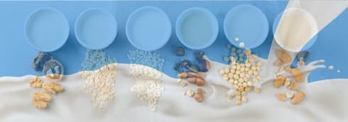 India’s large dairies taking notice of Plant based alternatives to milk